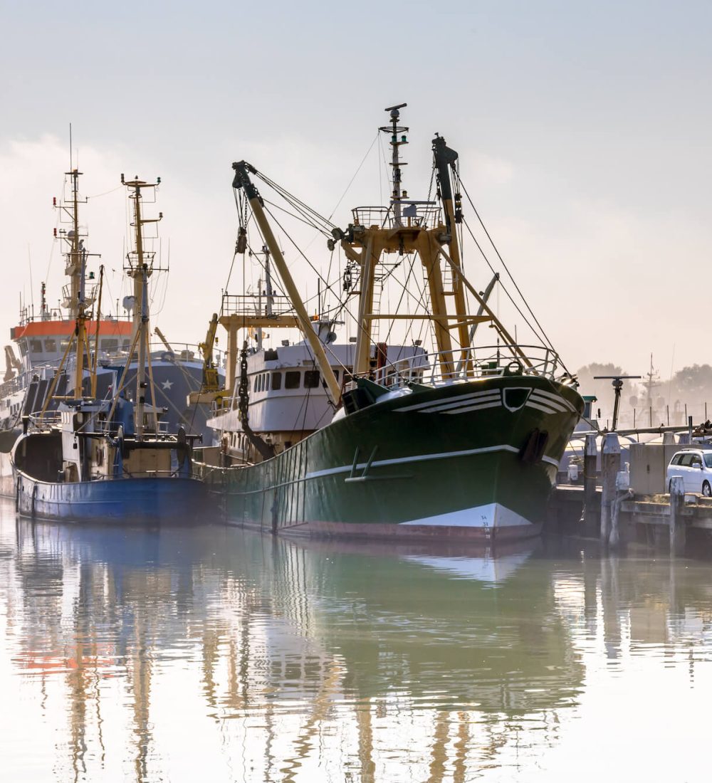 modern-fishing-ships-in-hazy-weather-haringvliet-2023-11-27-04-59-38-utc (1)